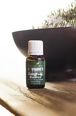 evergreen essential oil